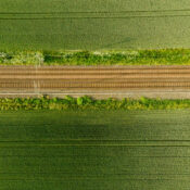 Railway,Tracks,In,Cornfield.,Sunny,Summerday,In,South,West,Sweden.